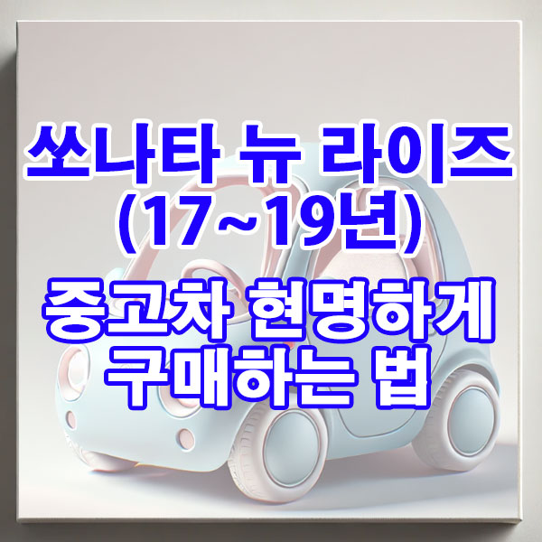 현대 쏘나타 뉴 라이즈(17~19년) 중고차 현명하게 구매하는 법