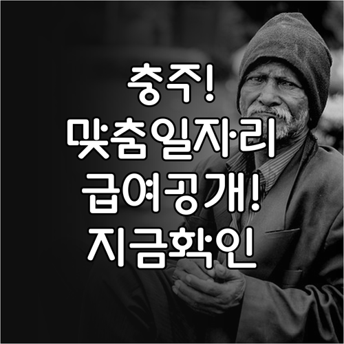 충주 어르신 맞춤형 일자리 종류와 급..