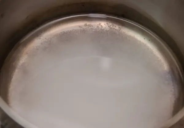 강아지-설사할때-좋은음식-설탕물