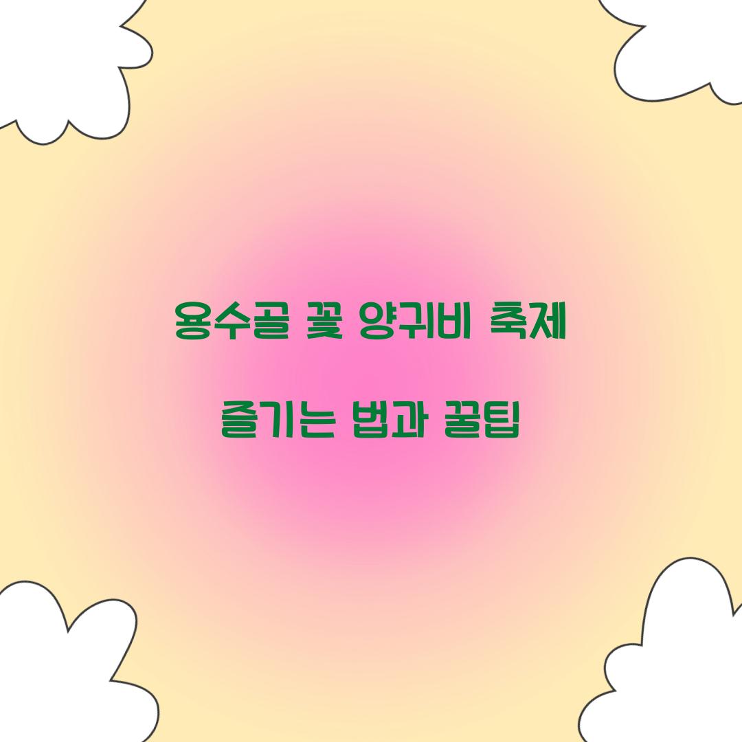 용수골 꽃 양귀비 축제