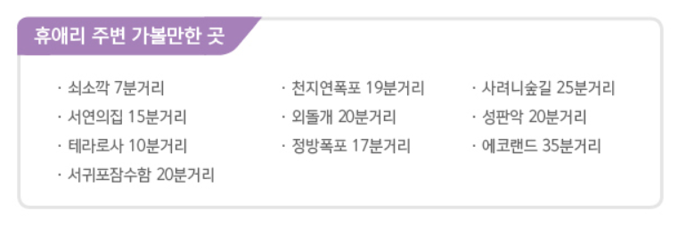 제주 휴애리 유채꽃 축제 코스 주차 맛집 일정 총정리