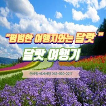 6월 국내여행 추천지 BEST 7곳 지금 떠나기 딱 좋은 완벽한 힐링 명소 총정리_11