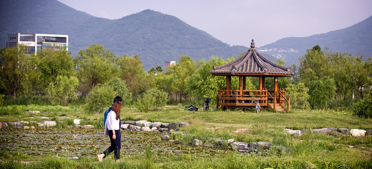 삼락생태공원