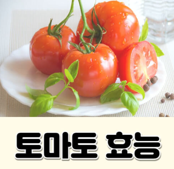 토마토 효능 부작용
