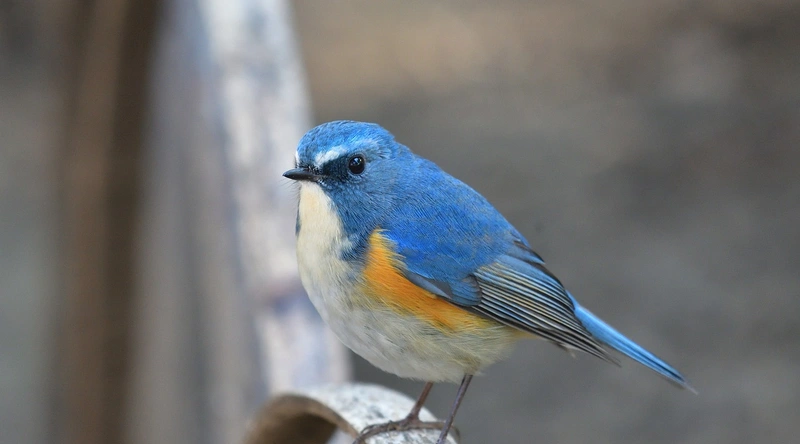 고장 발생 시 대응 방안