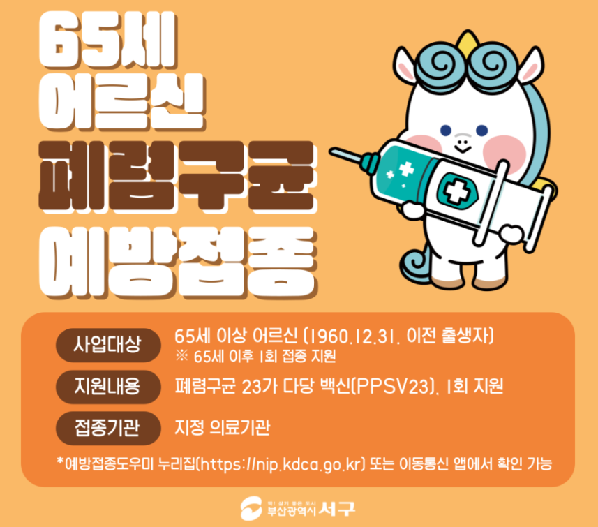 폐렴구균 예방접종