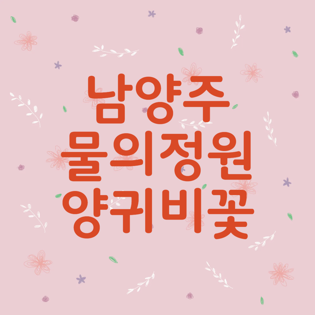 남양주 물의정원 양귀비 꽃구경