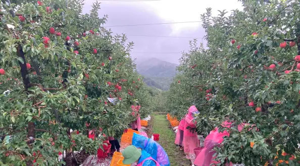 촌캉스-농가-체험