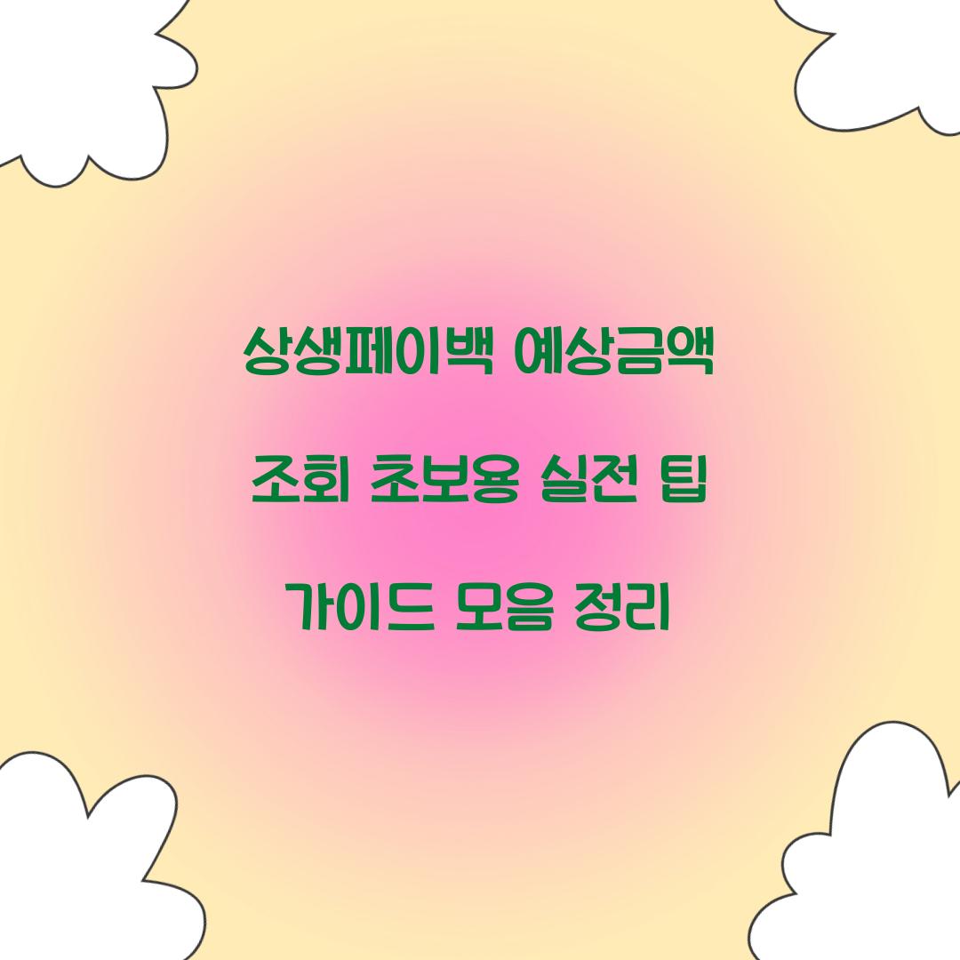 상생페이백 예상금액 조회