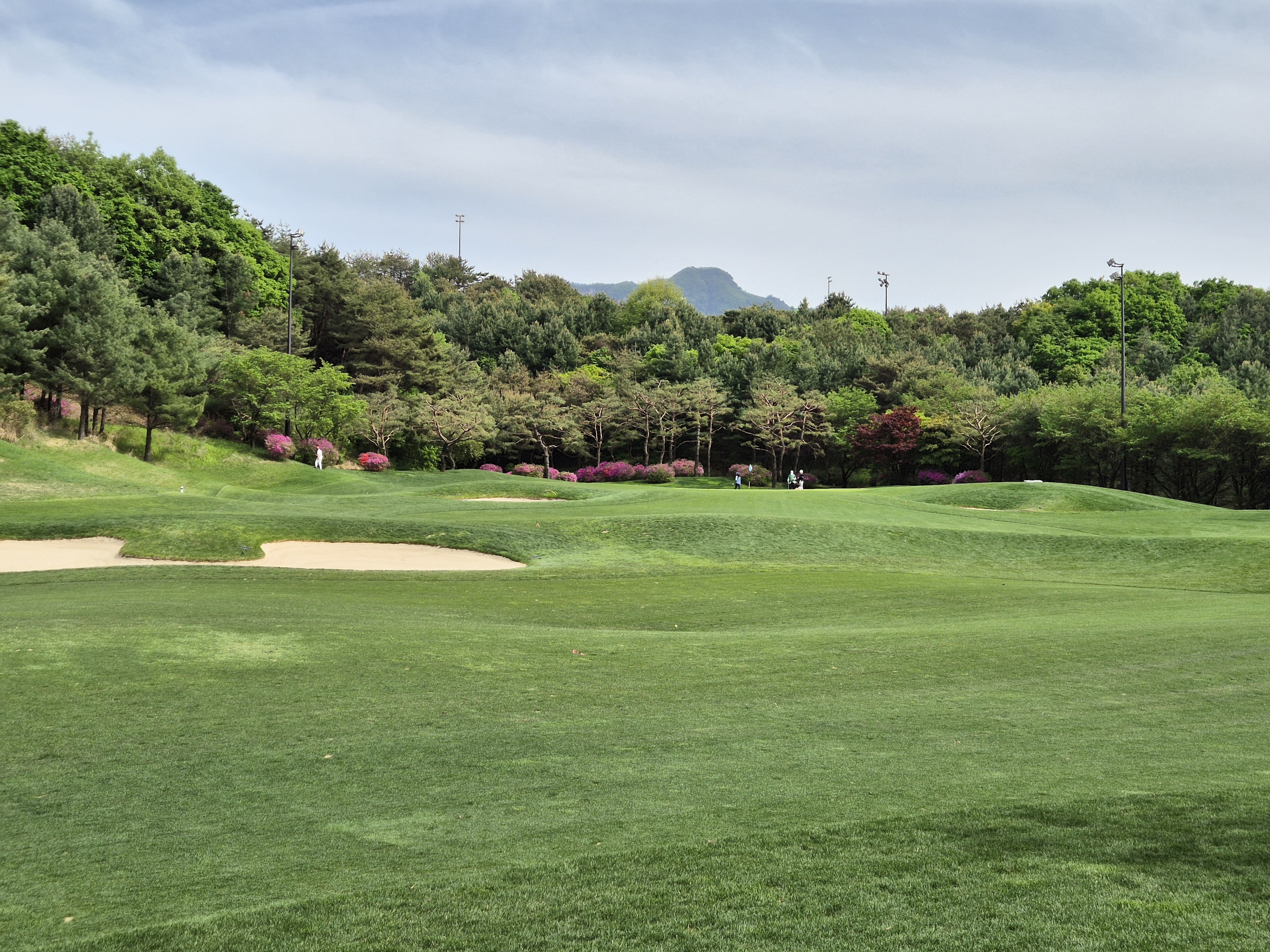 베어크리크cc 크리크코스