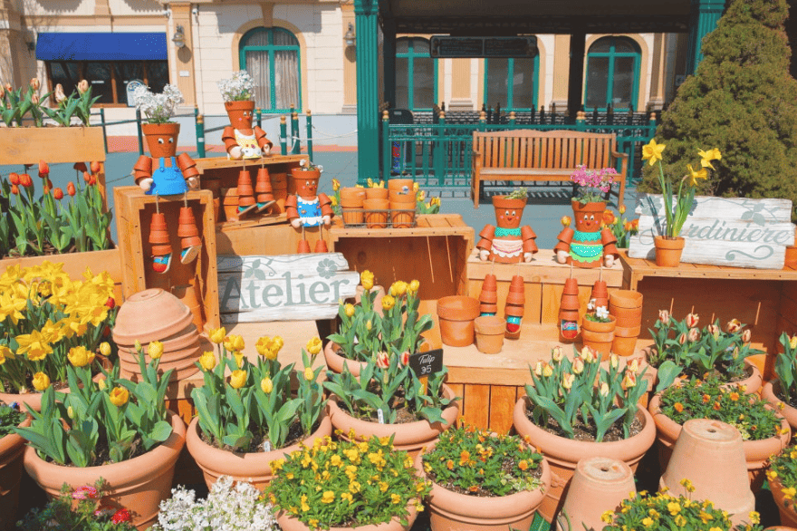 에버랜드 튤립 축제