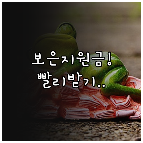 보은 민생지원금 지급일 및 지역화폐 ..