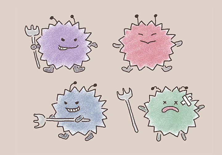 헬리코박터-파일로리-세균의-모습