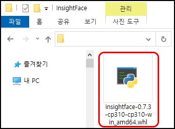 insightface-X.X.X-cpXXX-cpXXX-win_amd64.whl 파일
