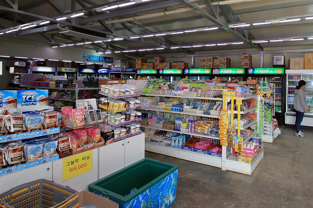 서울 한강공원 난지캠핑장 소개