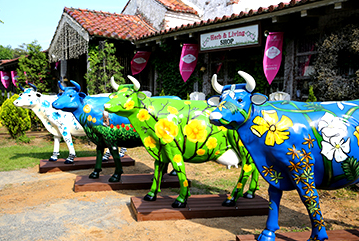 청도 프로방스 빛축제ㅣ물놀이장ㅣ동물체험ㅣ입장료ㅣ반려동물 정보