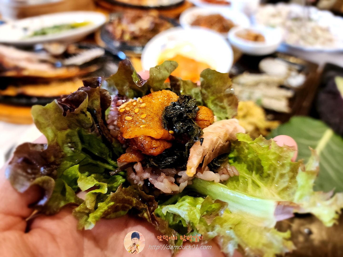 백운애꽃