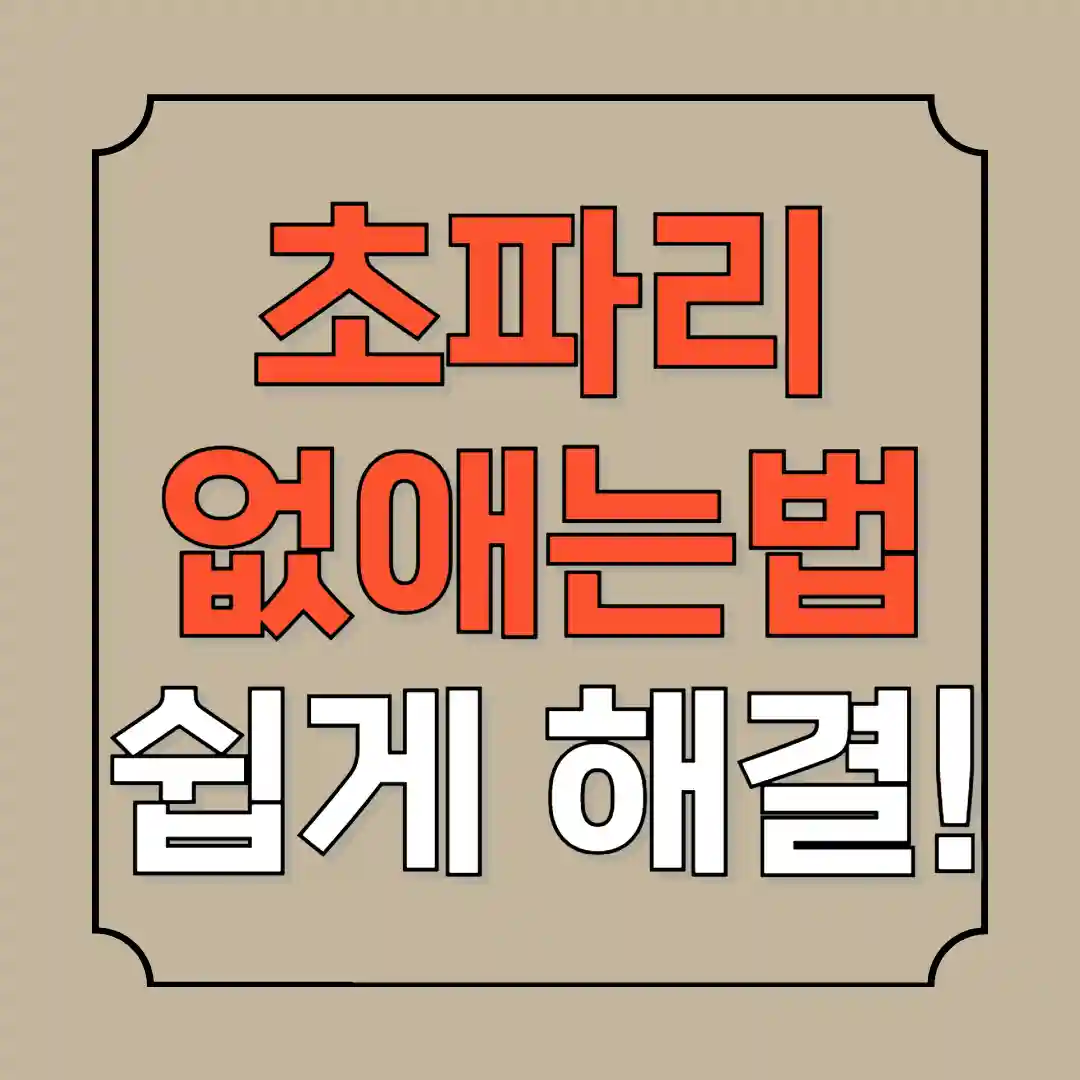 초파리 없애는 방법