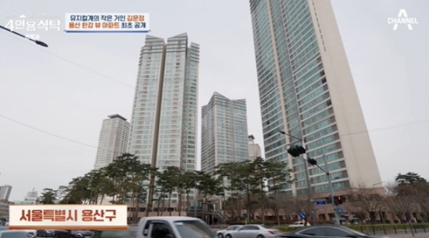 김문정 용산구 한강뷰 아파트 공개 근황