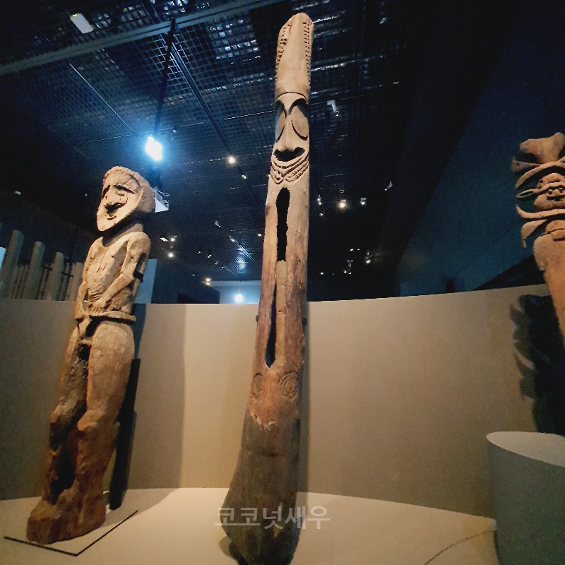 마나 모아나 전시회