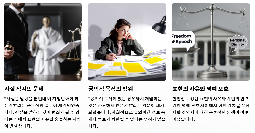 위헌 논란의 핵심쟁점