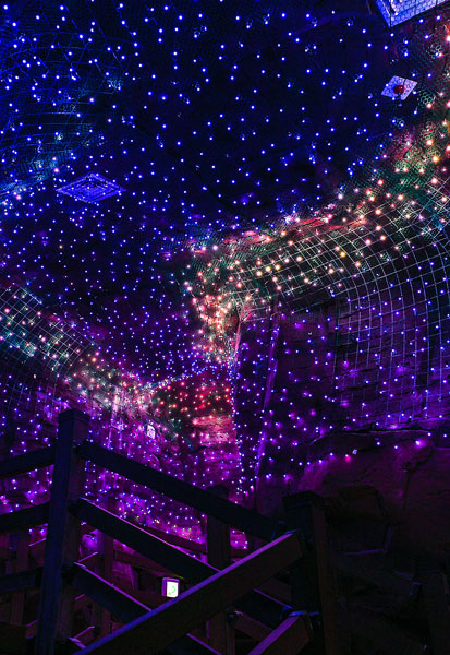 거제식물원 정글돔