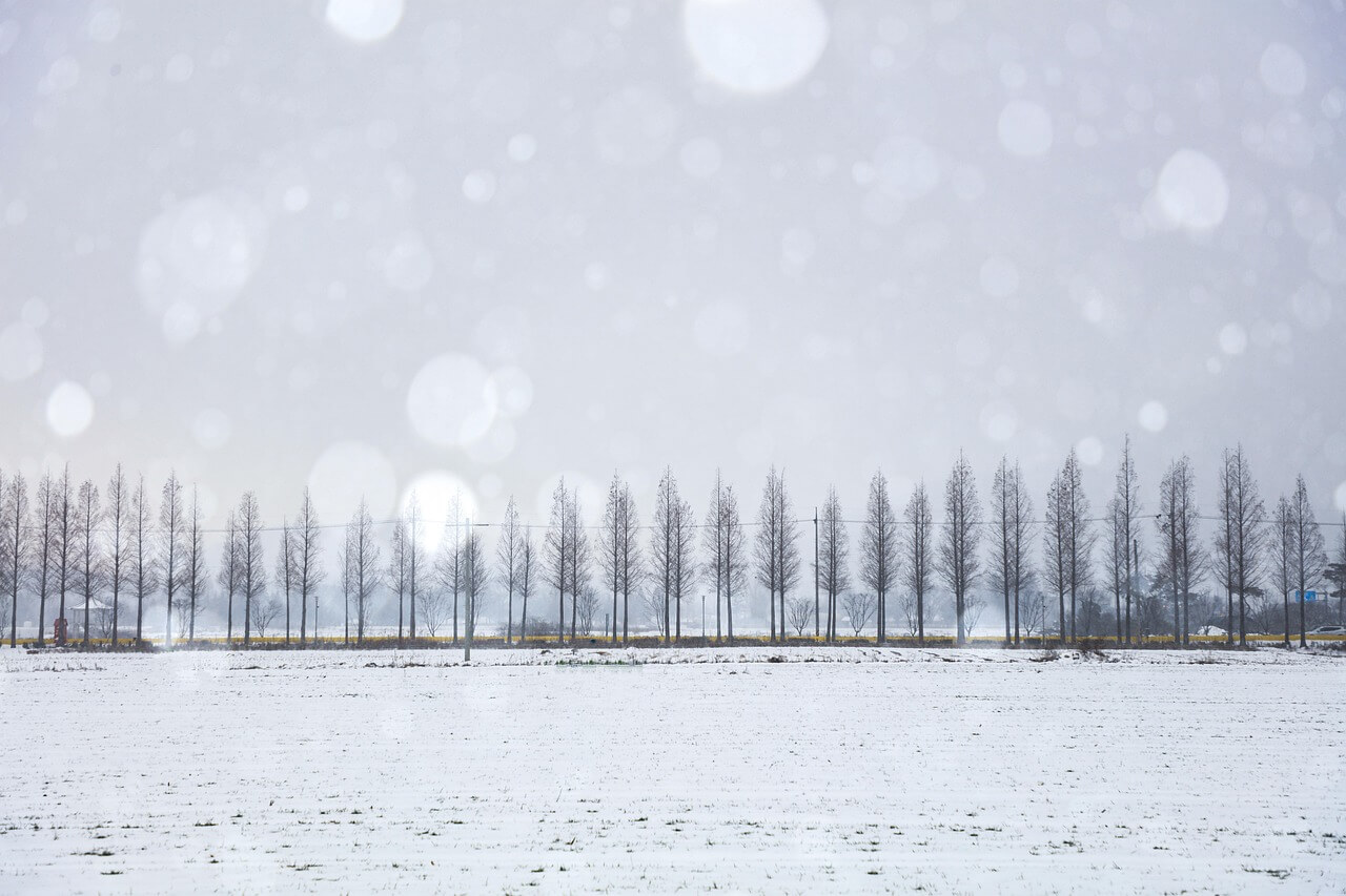 담양 가볼만한곳 추천명소 