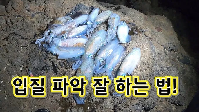 낚시 입질 파악 감도 좋은 채비 바늘 크기 조정 방법_3