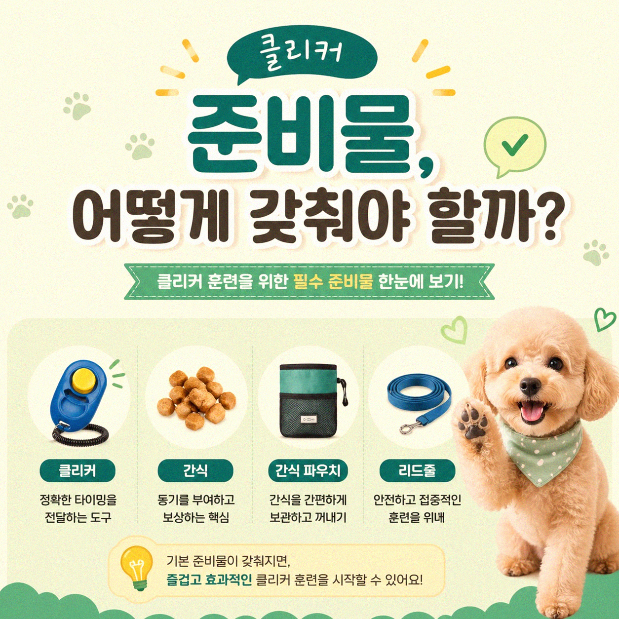 고양이 클리커 훈련 어떻게 시작할까