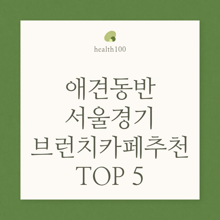 애견동반 브런치카페