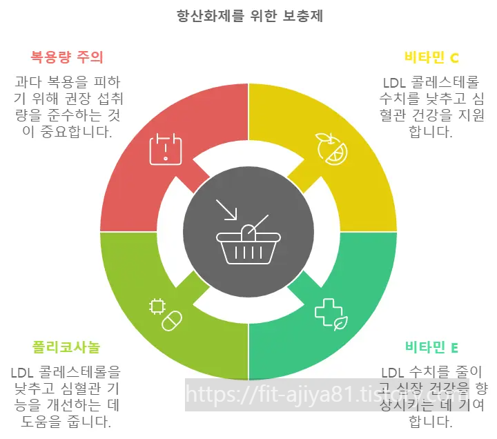항산화제 보충제 섭취방법