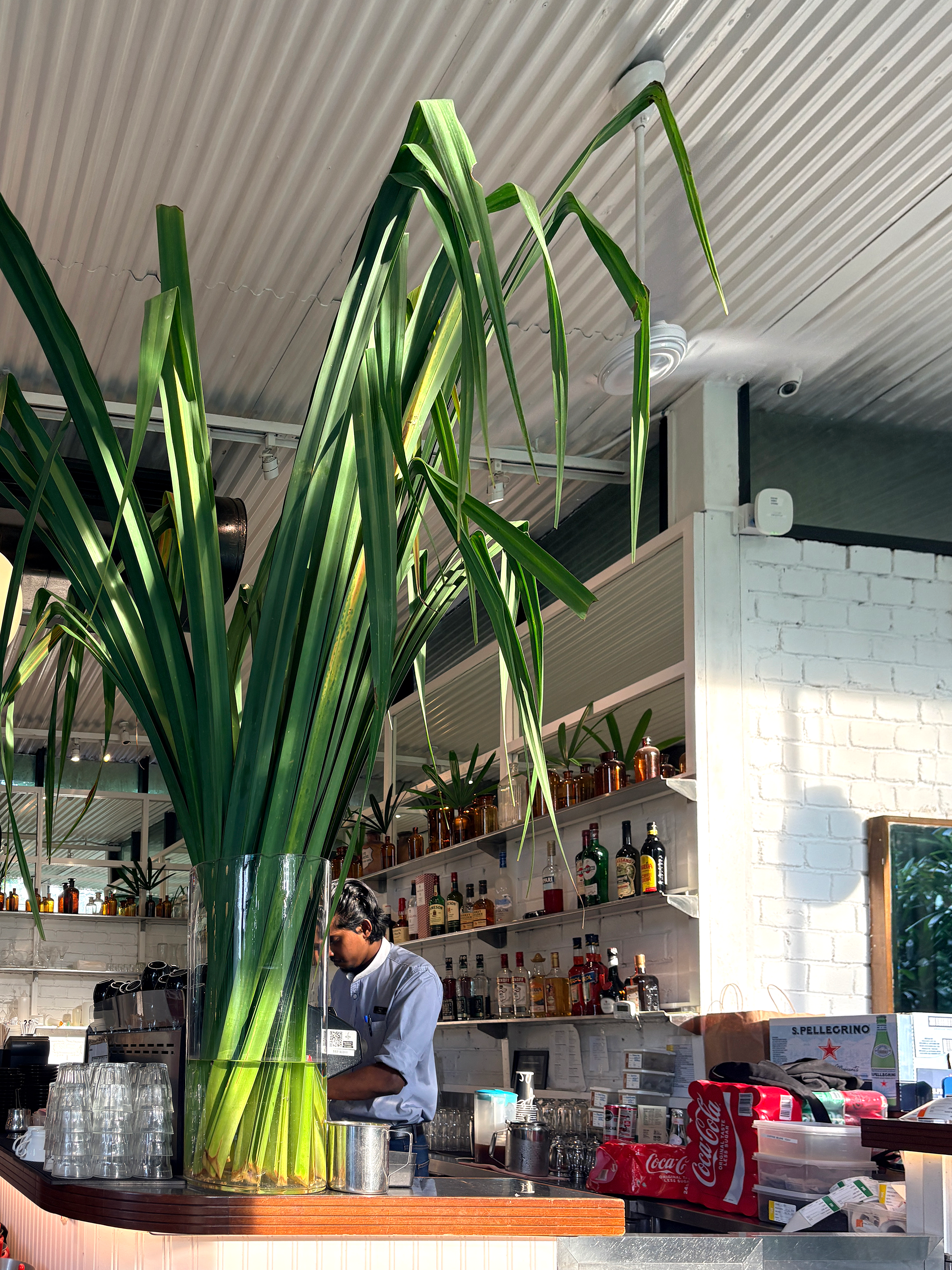 뎀시 힐(Dempsey Hill) 숲 속 카페 - PS.Cafe 내부 인테리어