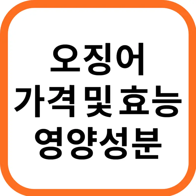 오징어 가격 및 효능, 영양성분 주의점