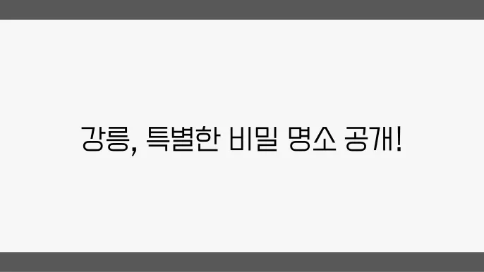 네이버 블로그 추천! 차 없이 강릉의 숨겨진 여행지