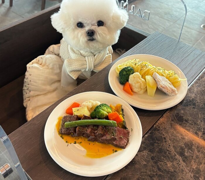 스타필드 수원에서 가야할 핫플레이스