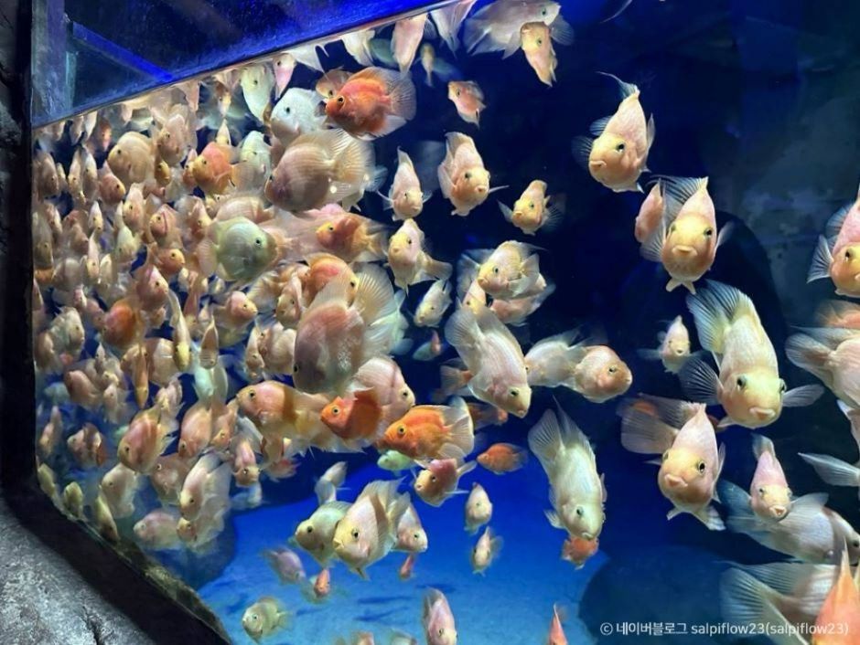 사천 가볼만한곳 베스트 10