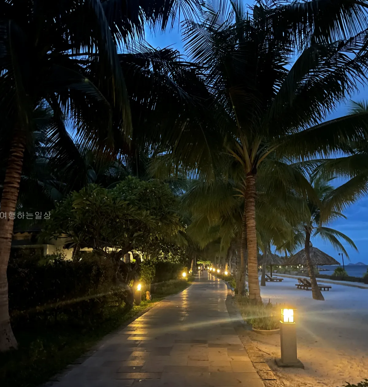 베트남-3박4일-가족여행-나트랑-아미아나리조트-레스토랑-오션바-디너-메뉴-후기-및-카드결제