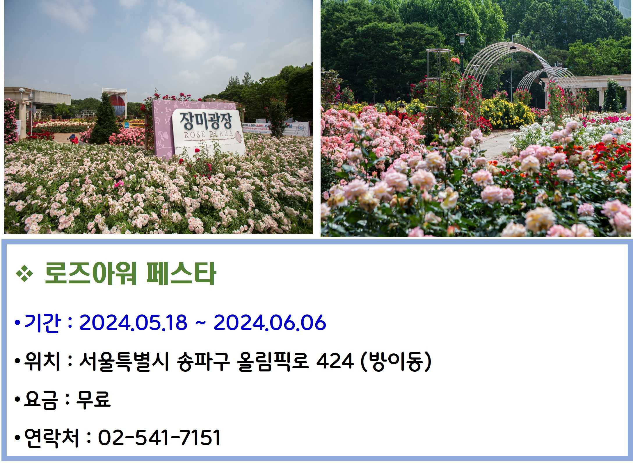 로즈아워 페스타