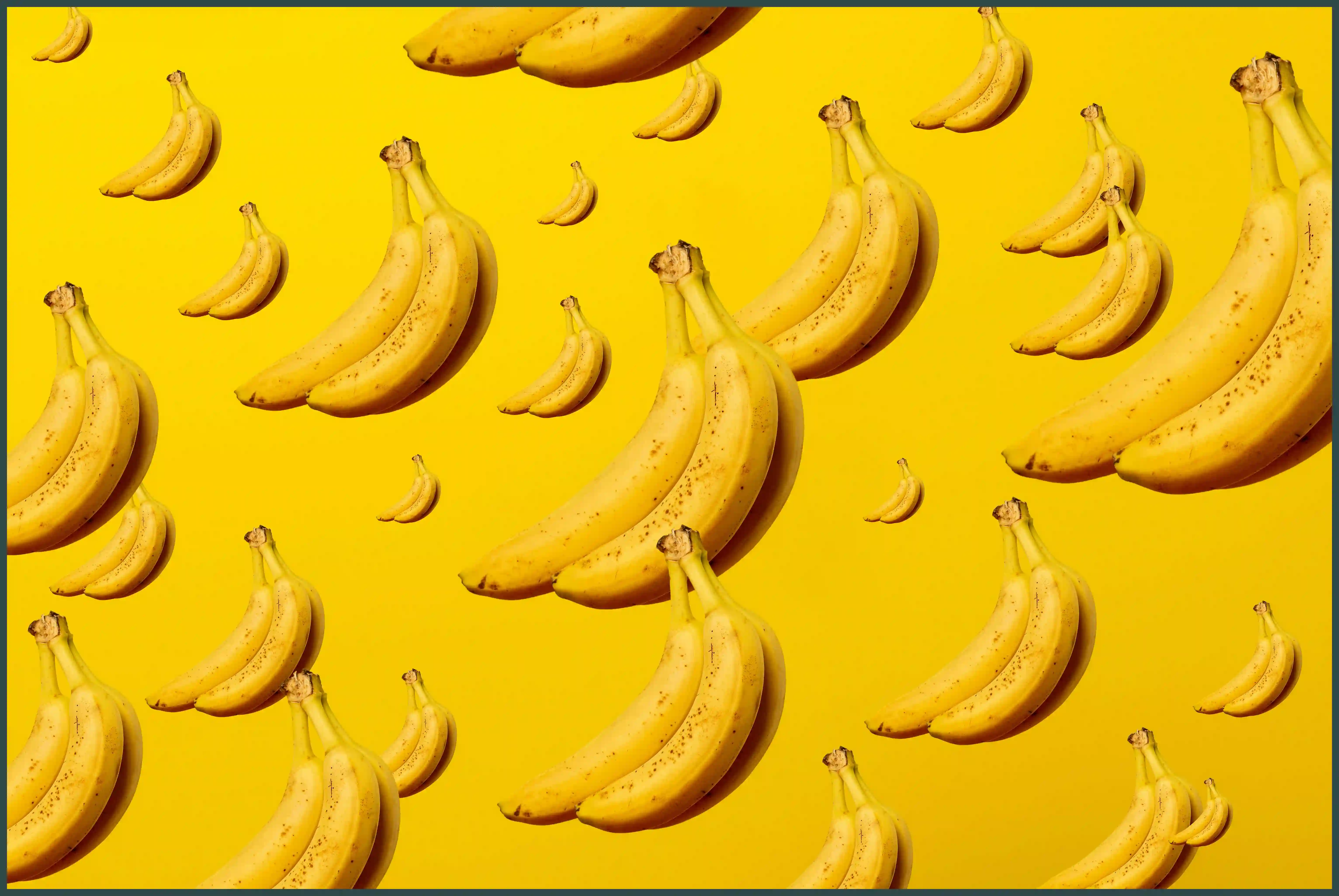 강아지 바나나 줘도 되나요? 급여 방법과 주의사항 