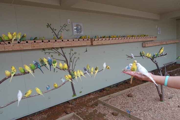 거제 버드 앤 피쉬2