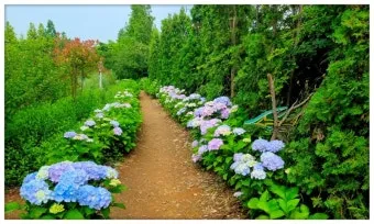 7월 국내 가족여행지 추천 베스트 코스 완벽 가이드_14