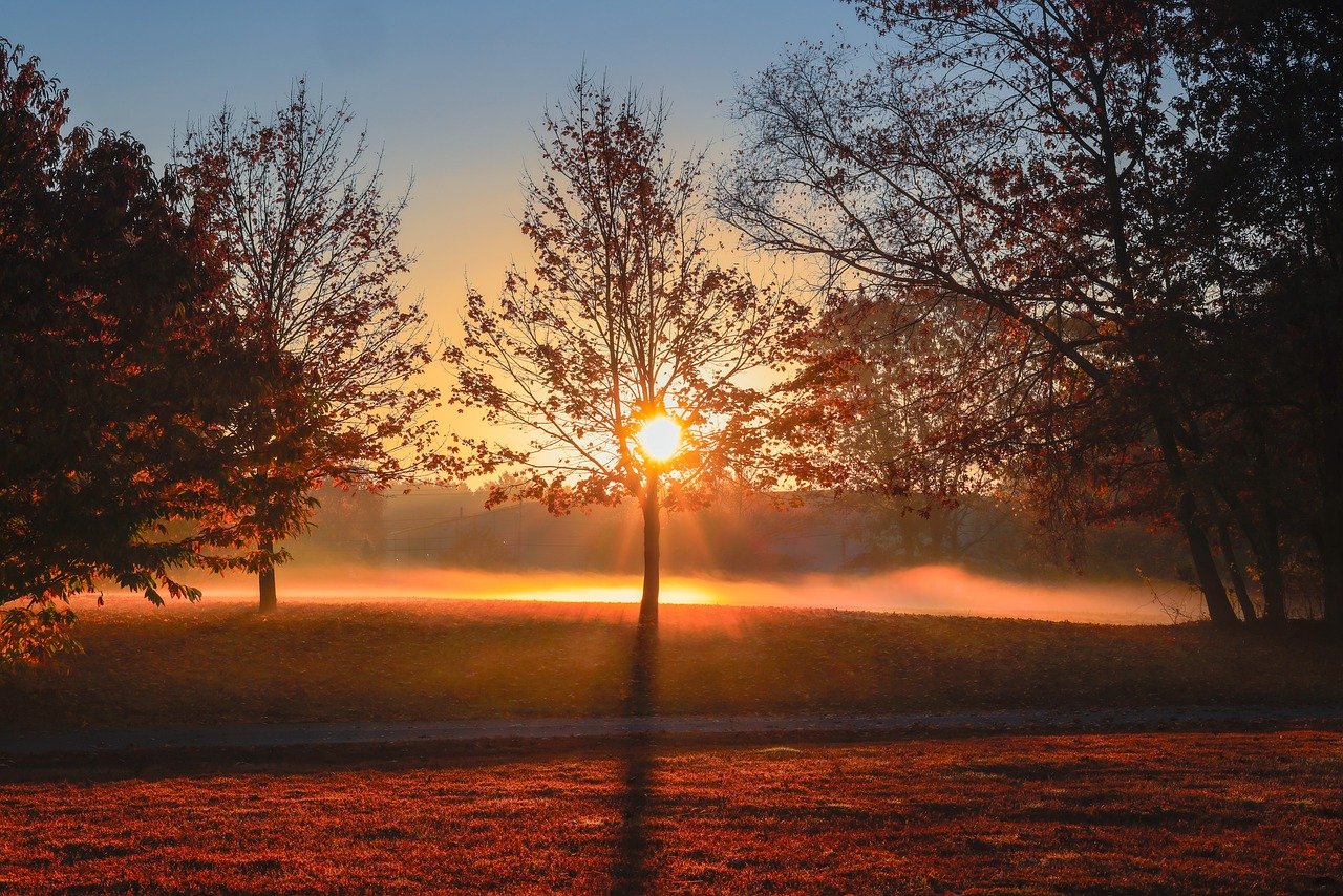 법인세율 계산방법