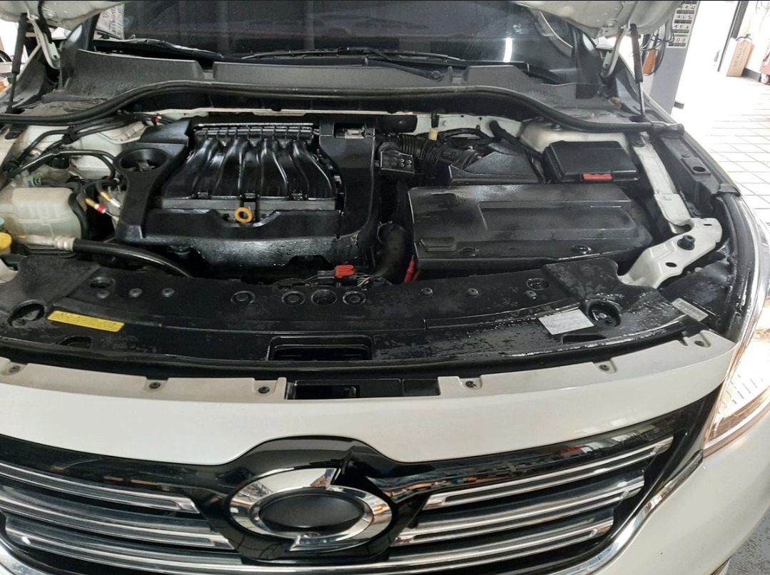 엔진룸 청소도 서비스로 받았습니다.