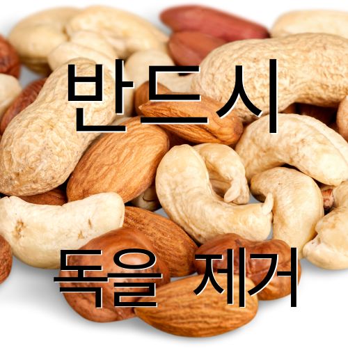 견과류 추천