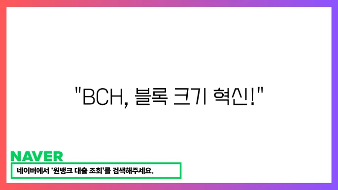 비트코인 캐시의 기술적 접근