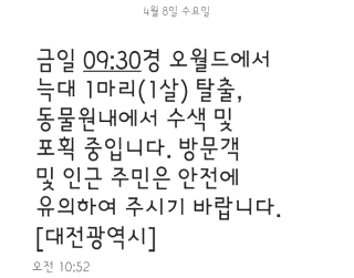 오월드 늑대 탈출 대전 시내 네거리서 목격