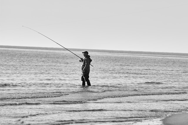 겨울축제 회센터 위생 상태와 기생충 진실