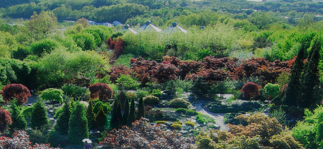 용인 한택식물원 안내 