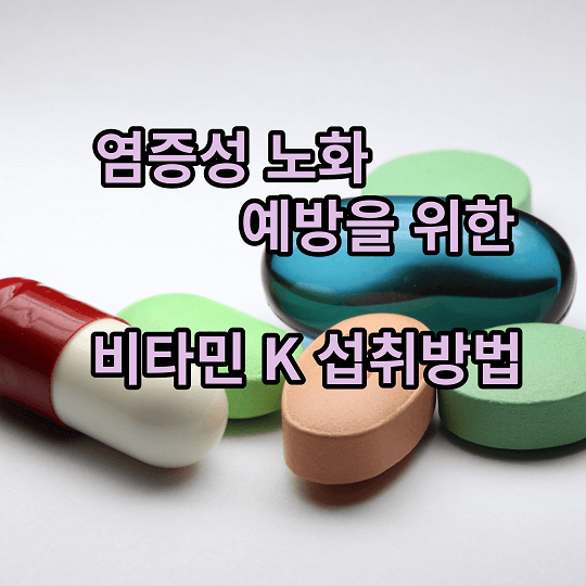 비타민K섭취방법 포스터