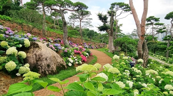 특색있고 아름다운 민간 정원 30선 추천 여행 - 07. 청주 공간정원